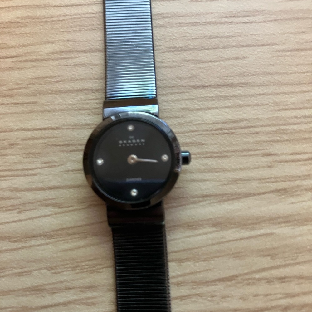 Skagen Black Metal Watch